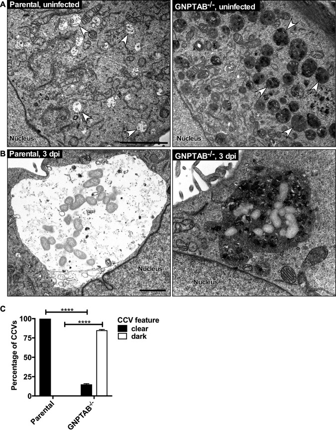 FIG 4