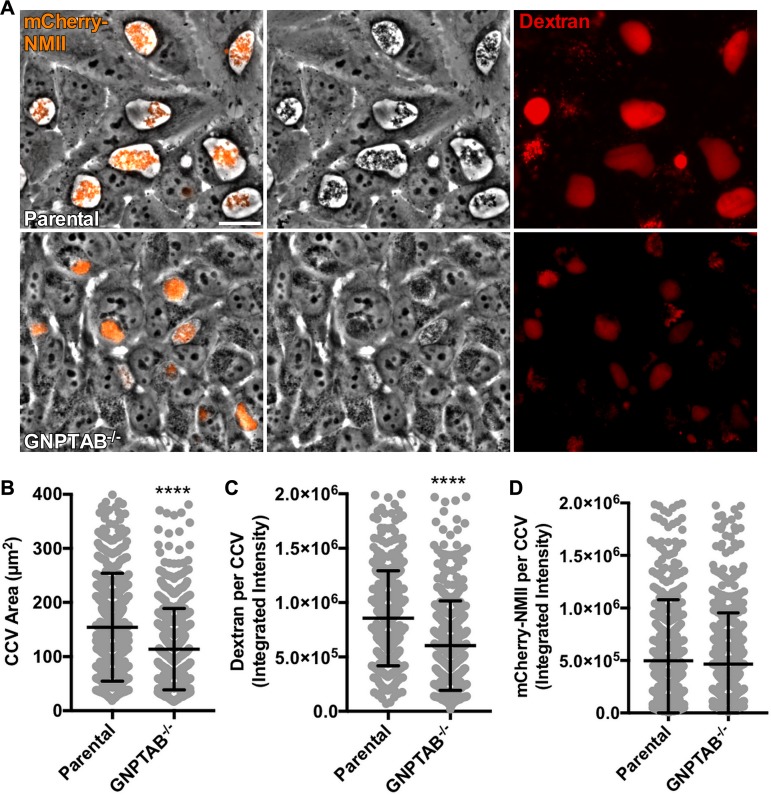 FIG 2