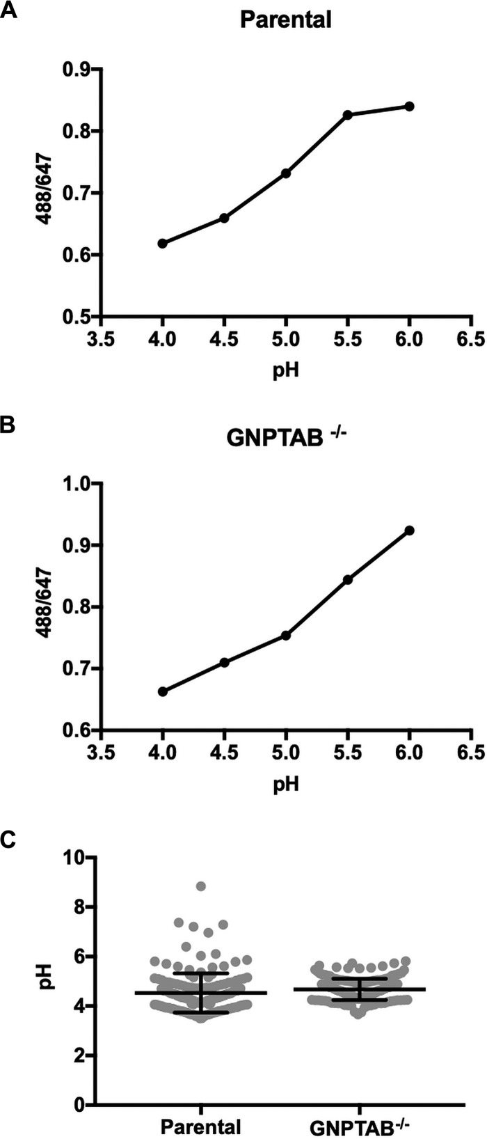 FIG 8