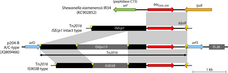 FIG 10