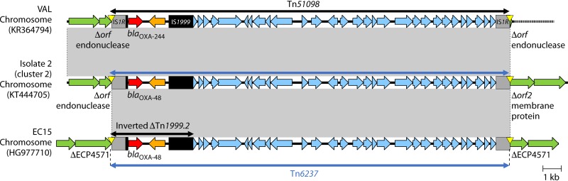 FIG 11