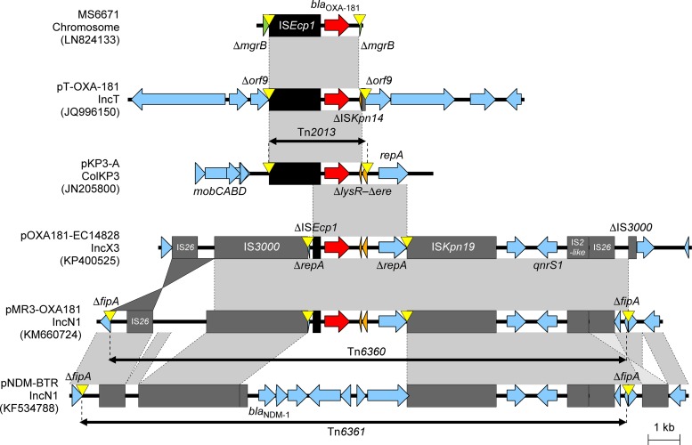 FIG 9