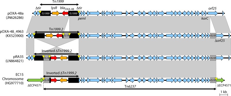 FIG 6