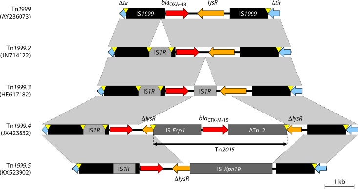 FIG 5