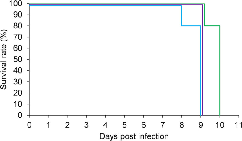 Fig 7