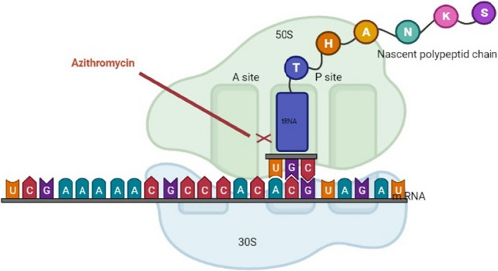 FIGURE 2