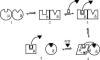 Fig. 3.