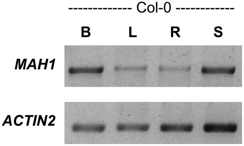 Figure 6.