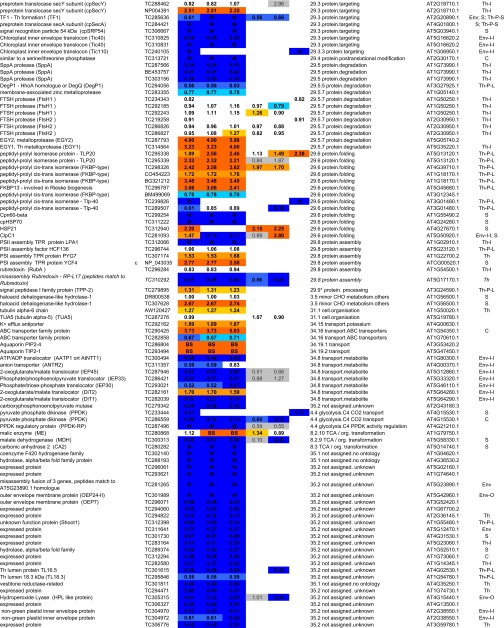 graphic file with name zjw0080831930t1d.jpg