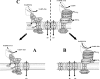 F<sc>ig</sc>. 5.