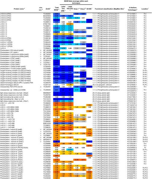 graphic file with name zjw0080831930t1a.jpg