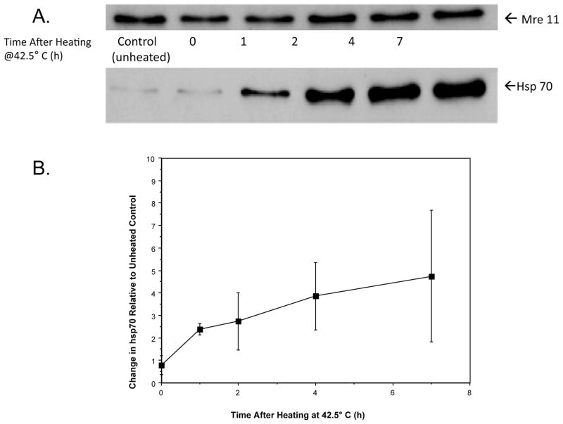 FIG. 6