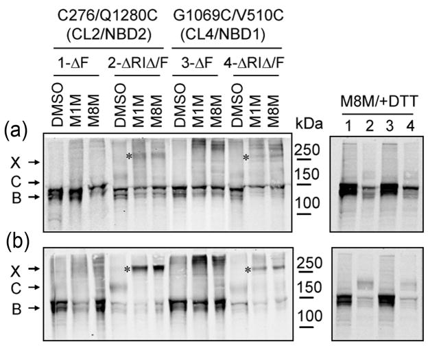 Fig 5