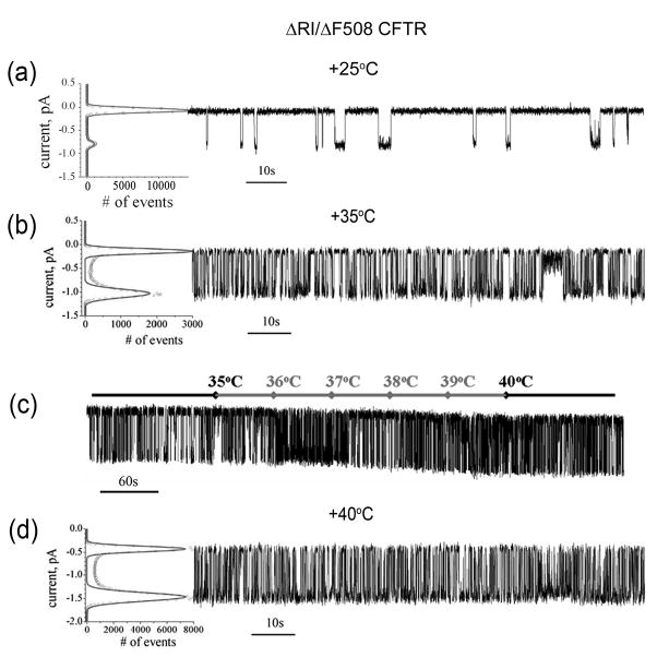 Fig 7