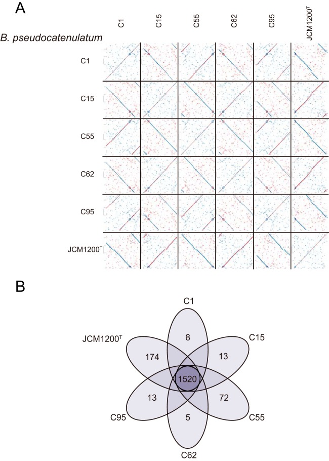 FIG 5 