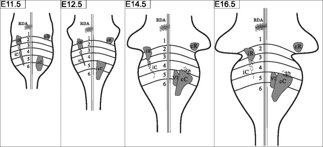 Figure 10.