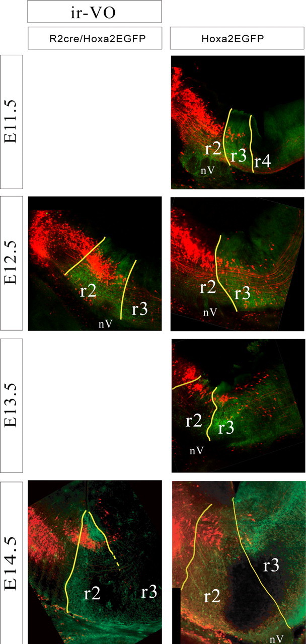 Figure 6.