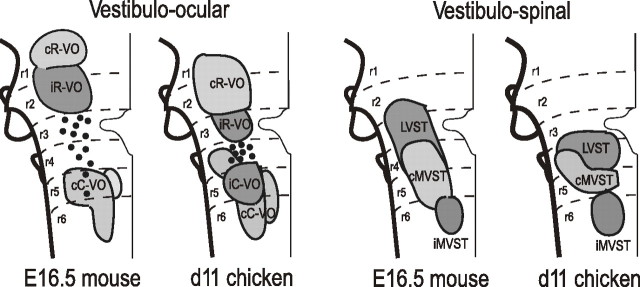 Figure 11.