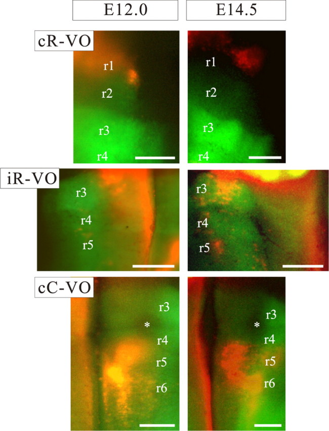 Figure 4.