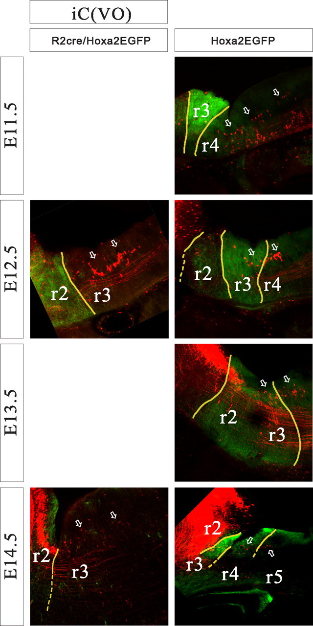 Figure 7.