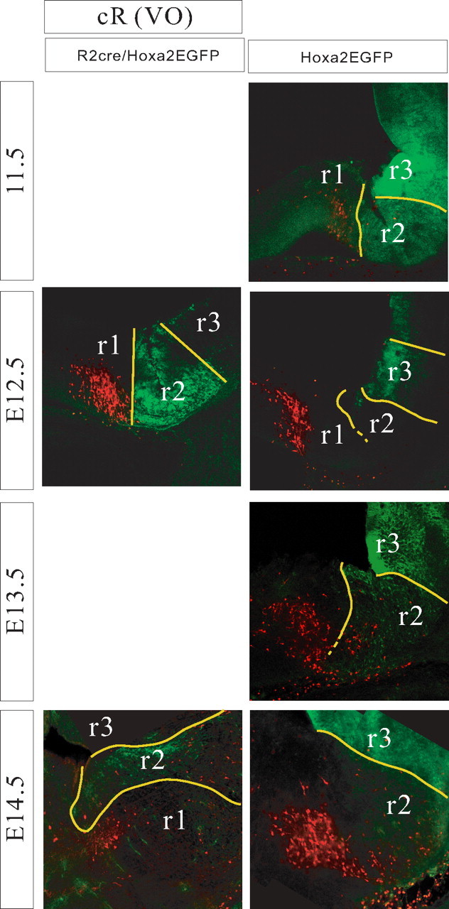 Figure 5.