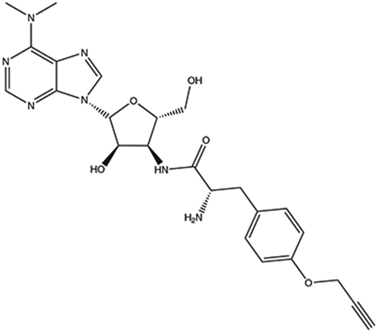 Fig. 1 ∣