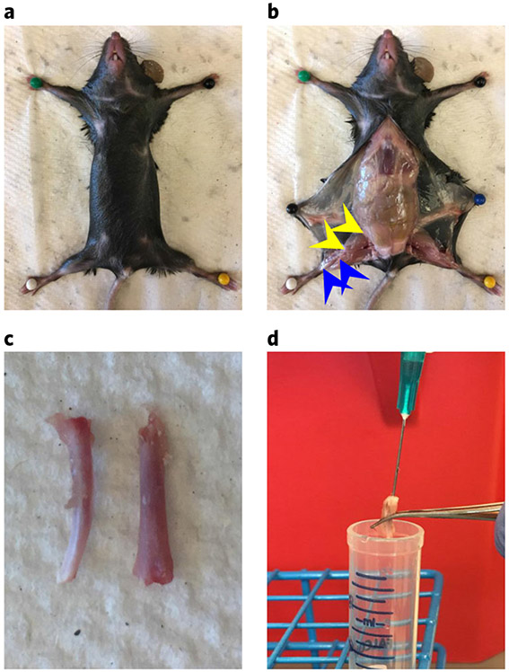 Fig. 3 ∣