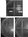 FIG. 1.