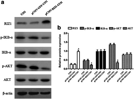 Fig. 11