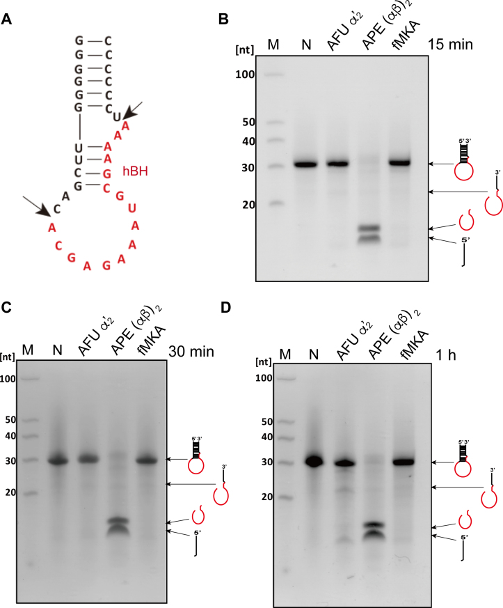 Figure 6.