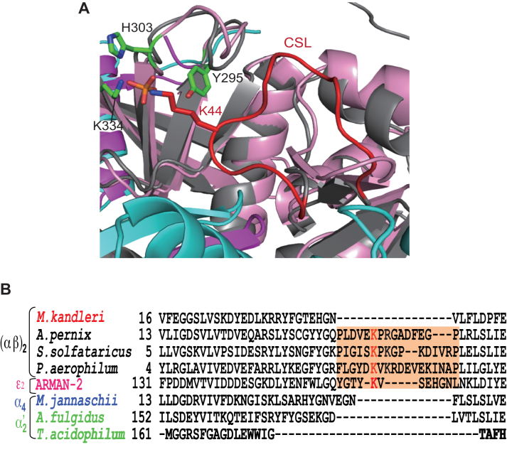 Figure 5.