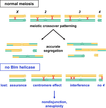 graphic file with name nihms827722f5.jpg