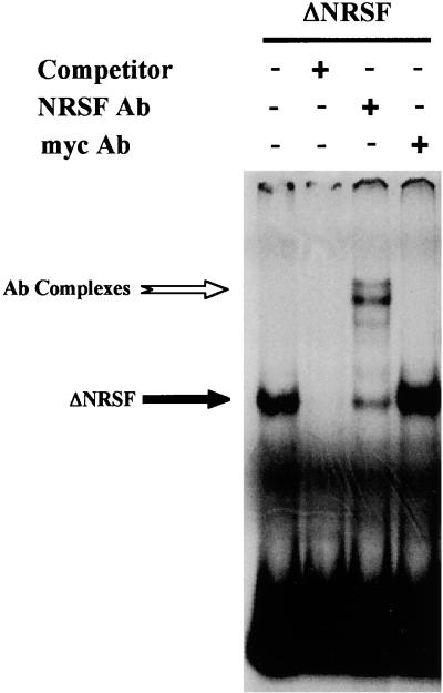 FIG. 8