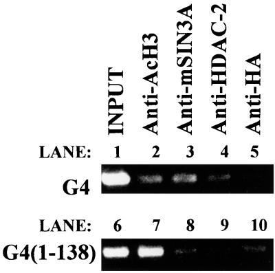 FIG. 5