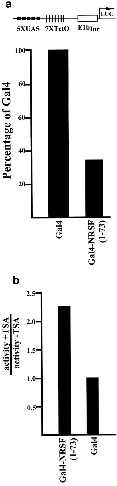 FIG. 6