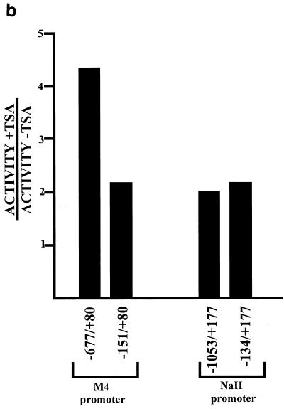 FIG. 9