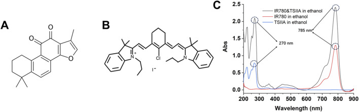 FIGURE 2