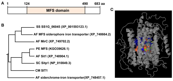 Figure 5