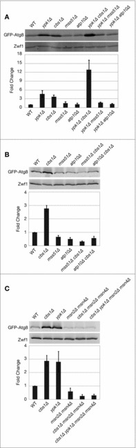 Figure 3.