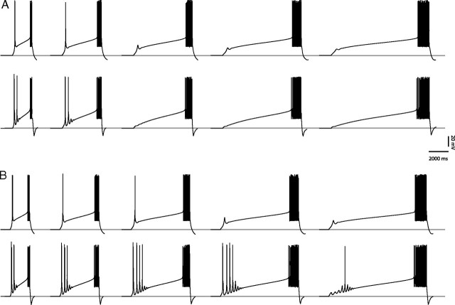 Figure 11.