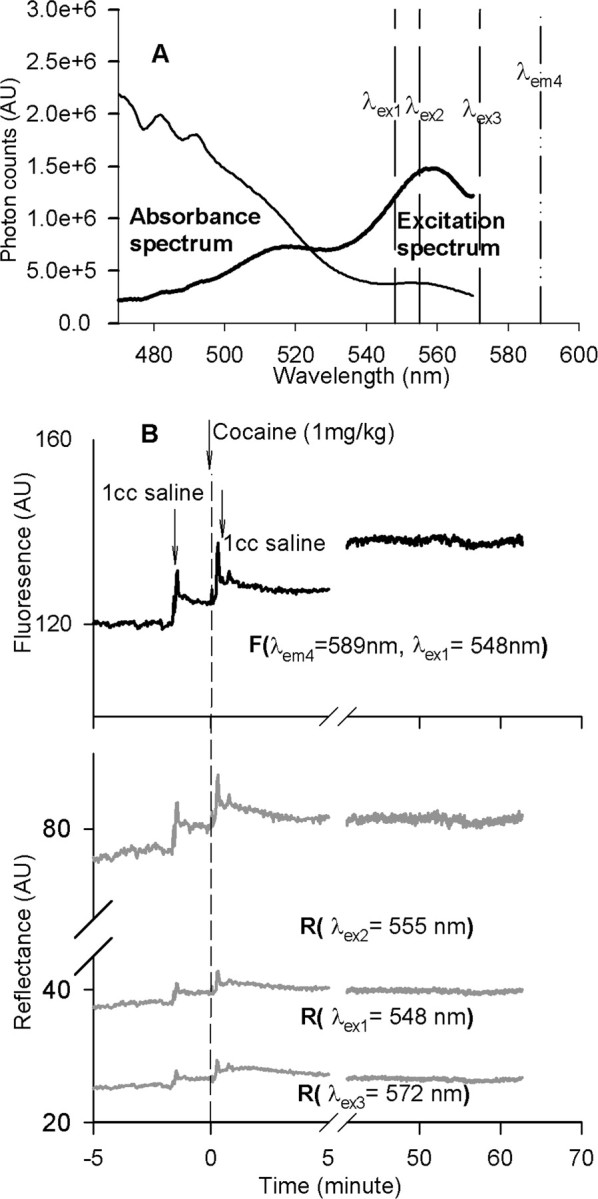 Figure 2.