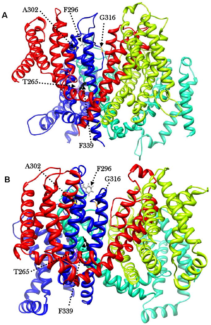 Figure 6