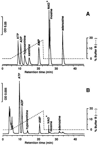 Fig.1A, B