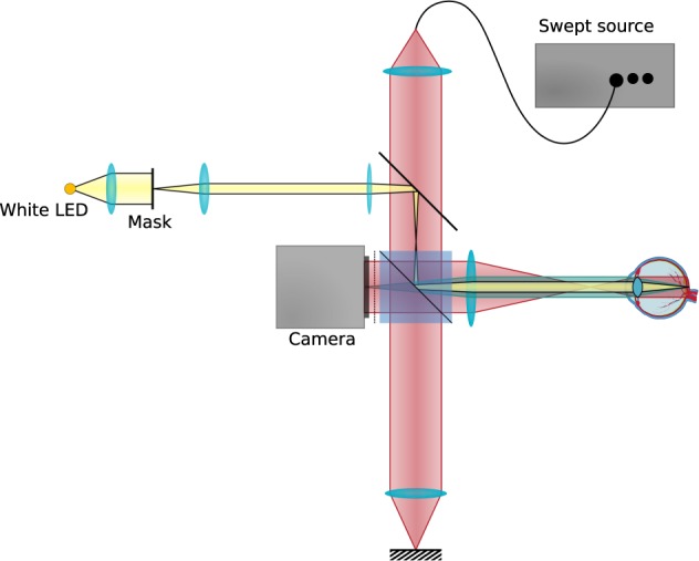 Figure 6