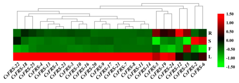 Figure 5