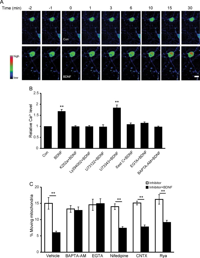 FIGURE 4.