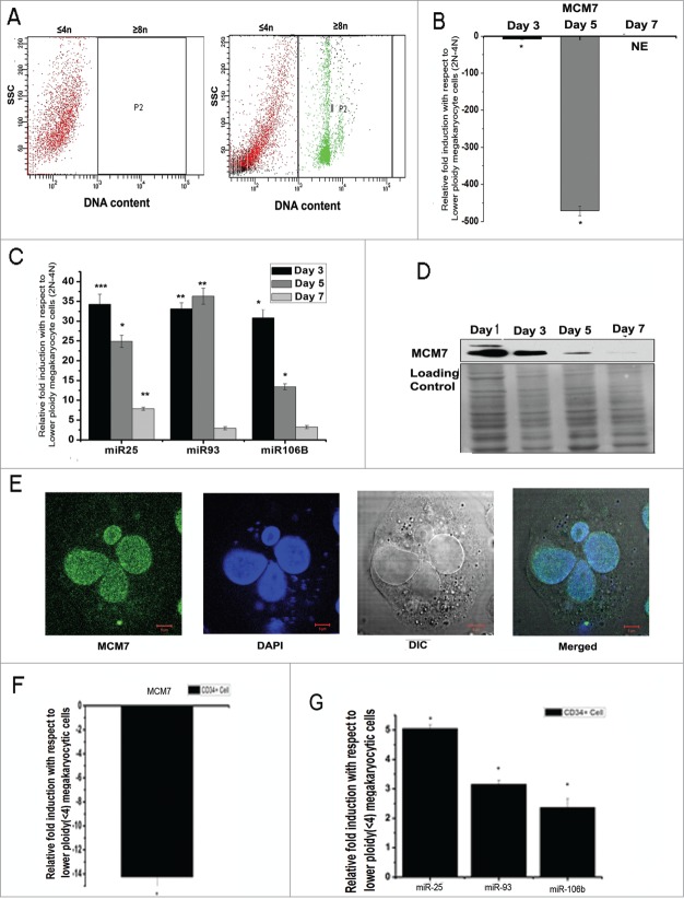 Figure 2 (See previous page).