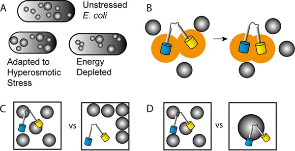 FIG 4