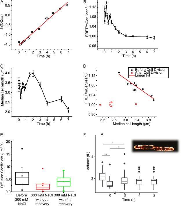 FIG 1