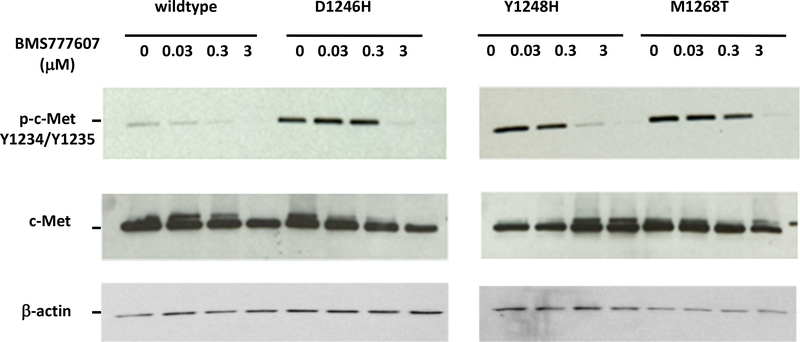 Fig. (2).